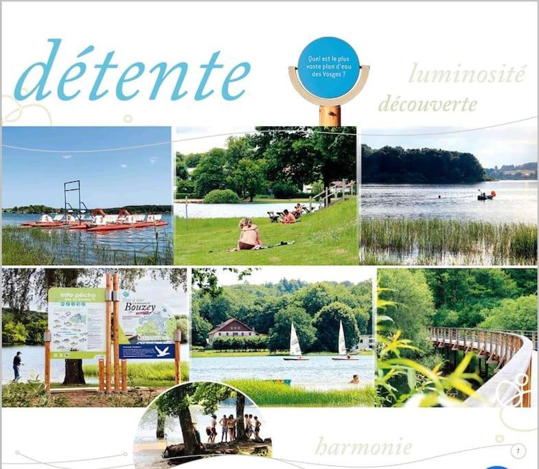 Appartement 2 Pieces Pres Du Lac De Bouzey Sanchey Ngoại thất bức ảnh